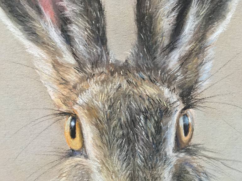 Original Realism Animal Drawing by Juan Pastor de la Puente