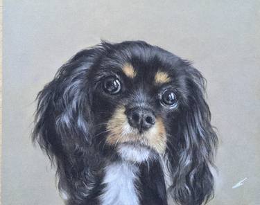 Original Realism Animal Drawings by Juan Pastor de la Puente