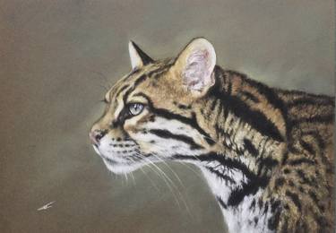 Original Realism Animal Drawings by Juan Pastor de la Puente