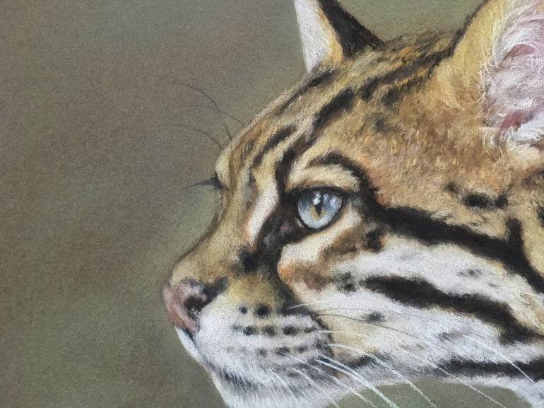 Original Realism Animal Drawing by Juan Pastor de la Puente