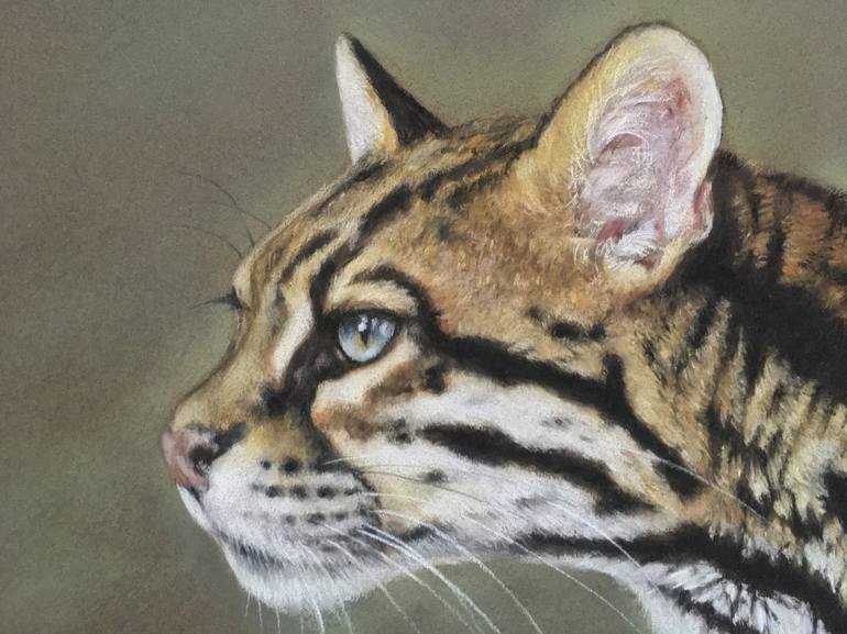 Original Realism Animal Drawing by Juan Pastor de la Puente