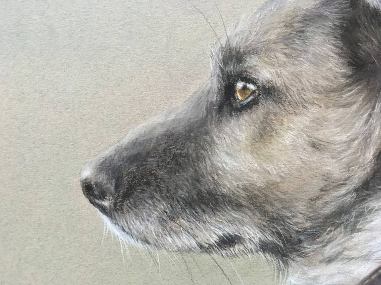 Original Realism Animal Drawing by Juan Pastor de la Puente