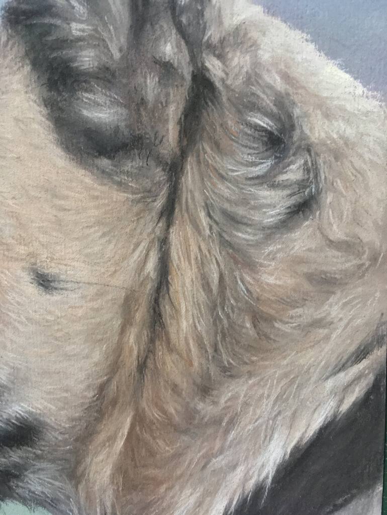 Original Realism Animal Drawing by Juan Pastor De La Puente