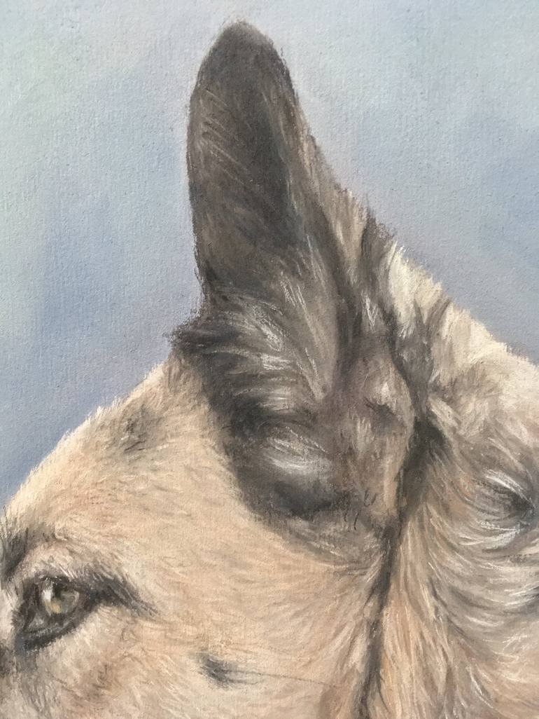 Original Realism Animal Drawing by Juan Pastor De La Puente