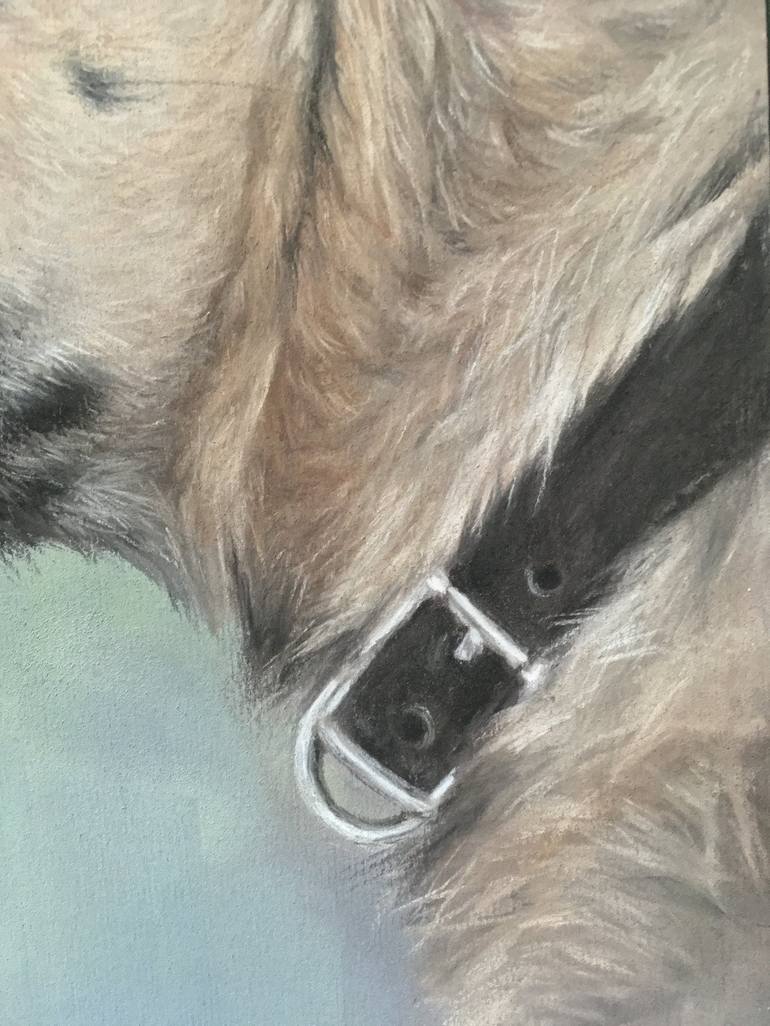 Original Realism Animal Drawing by Juan Pastor De La Puente