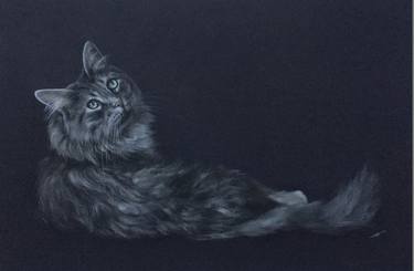 Original Realism Animal Drawings by Juan Pastor de la Puente