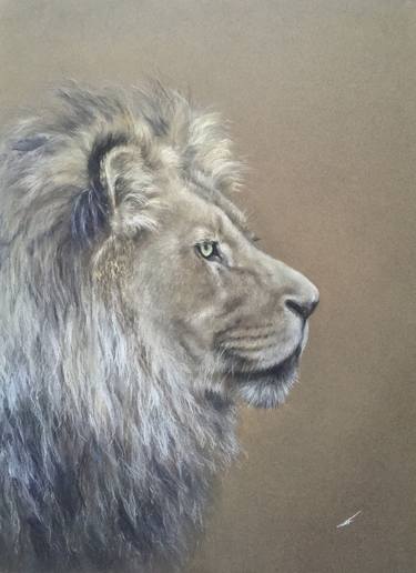 Original Realism Animal Drawings by Juan Pastor de la Puente