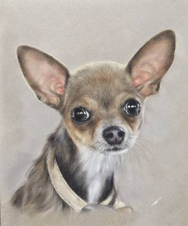 Original Realism Animal Drawings by Juan Pastor de la Puente