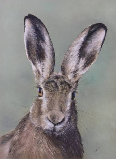 Original Realism Animal Drawings by Juan Pastor de la Puente