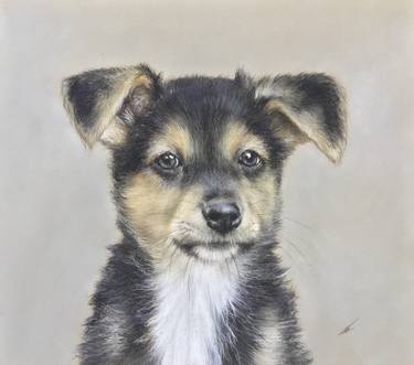 Original Realism Animal Drawings by Juan Pastor de la Puente