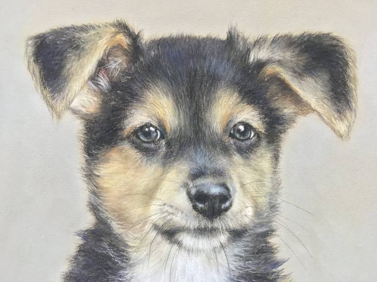 Original Realism Animal Drawing by Juan Pastor de la Puente