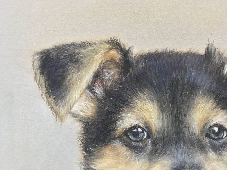 Original Realism Animal Drawing by Juan Pastor De La Puente