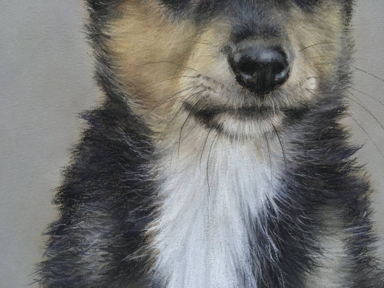 Original Realism Animal Drawing by Juan Pastor De La Puente