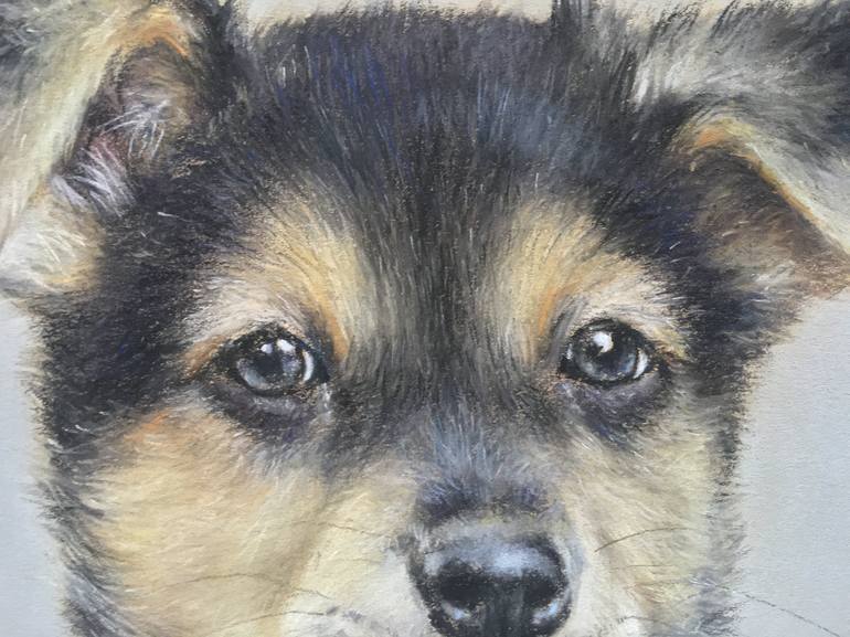 Original Realism Animal Drawing by Juan Pastor De La Puente