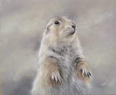 Original Realism Animal Drawings by Juan Pastor de la Puente