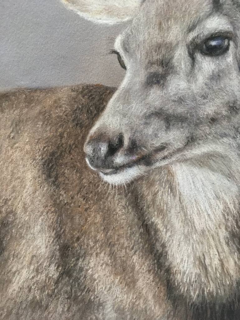 Original Realism Animal Drawing by Juan Pastor de la Puente