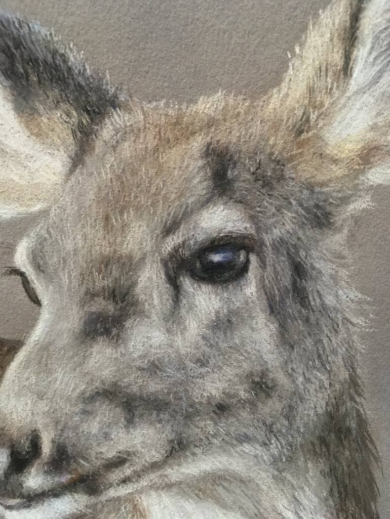 Original Realism Animal Drawing by Juan Pastor De La Puente