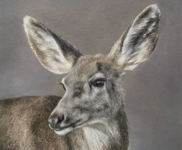 Original Realism Animal Drawing by Juan Pastor de la Puente