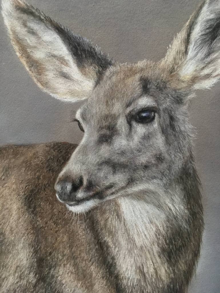 Original Realism Animal Drawing by Juan Pastor De La Puente