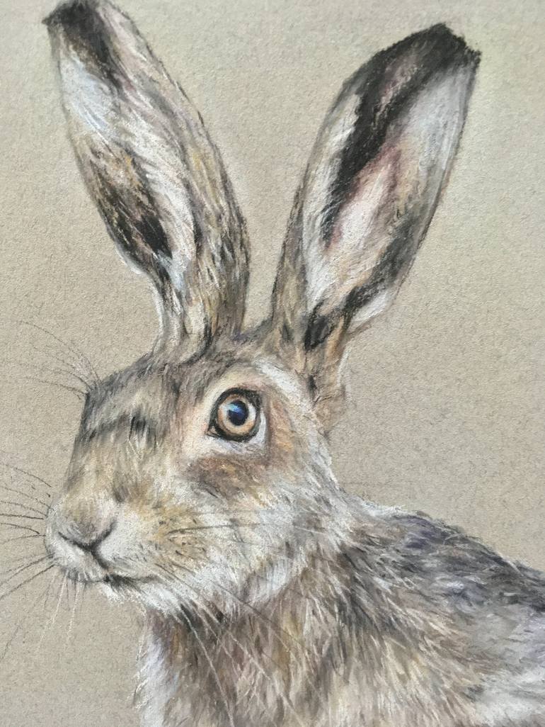 Original Realism Animal Drawing by Juan Pastor de la Puente