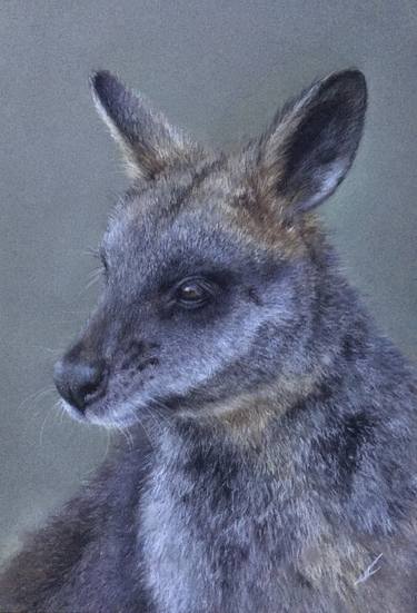 Wallaby thumb