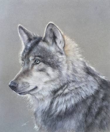 Original Realism Animal Drawings by Juan Pastor de la Puente