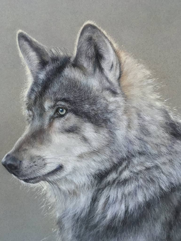 Original Realism Animal Drawing by Juan Pastor de la Puente