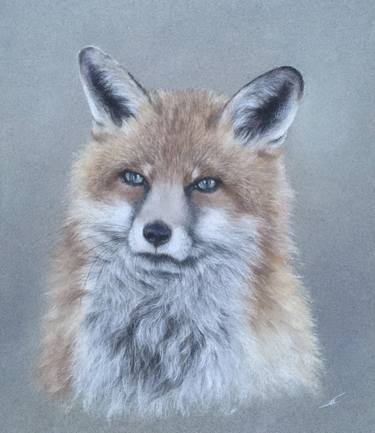 Original Animal Drawings by Juan Pastor de la Puente