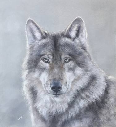 Original Realism Animal Drawings by Juan Pastor de la Puente