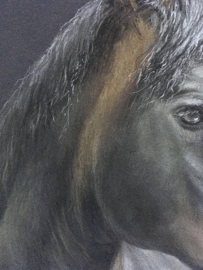 Original Realism Animal Drawing by Juan Pastor de la Puente