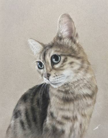 Original Realism Animal Drawings by Juan Pastor de la Puente