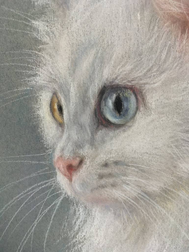 Original Realism Animal Drawing by Juan Pastor de la Puente