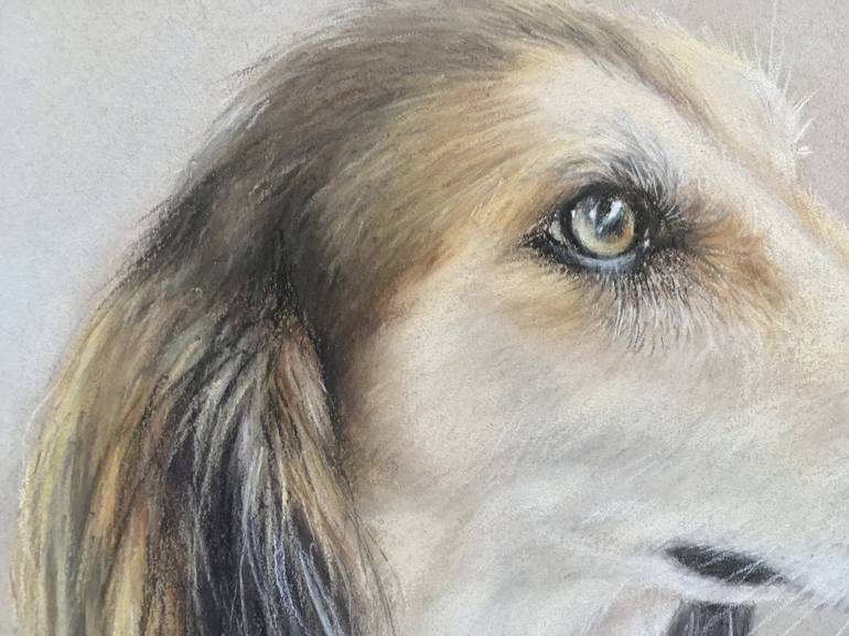 Original Realism Animal Drawing by Juan Pastor de la Puente