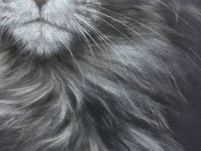 Original Realism Animal Drawing by Juan Pastor de la Puente