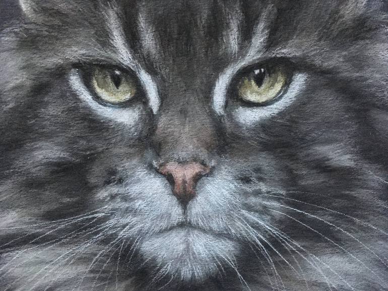 Original Realism Animal Drawing by Juan Pastor de la Puente