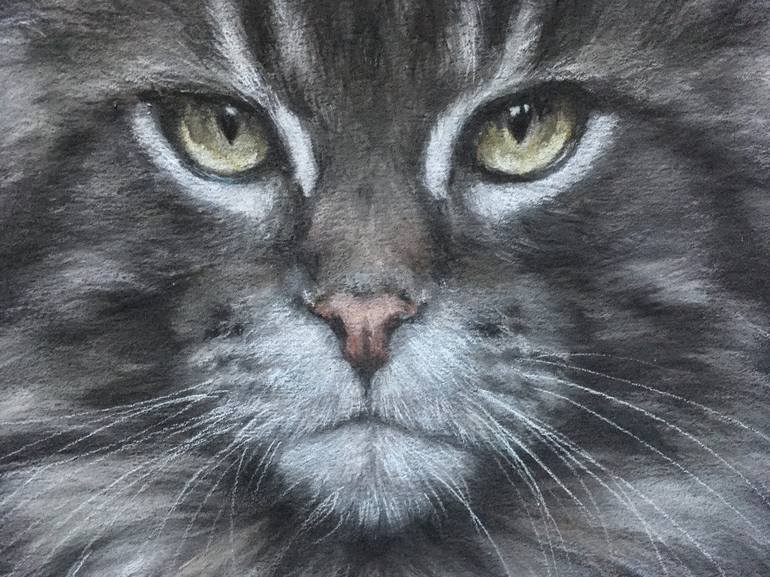 Original Realism Animal Drawing by Juan Pastor de la Puente