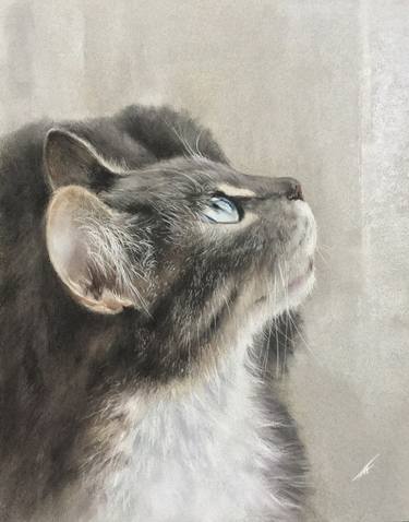 Original Realism Animal Drawings by Juan Pastor de la Puente