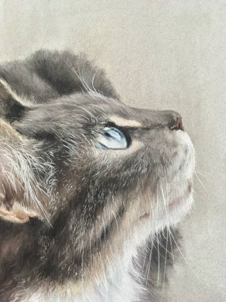 Original Realism Animal Drawing by Juan Pastor de la Puente