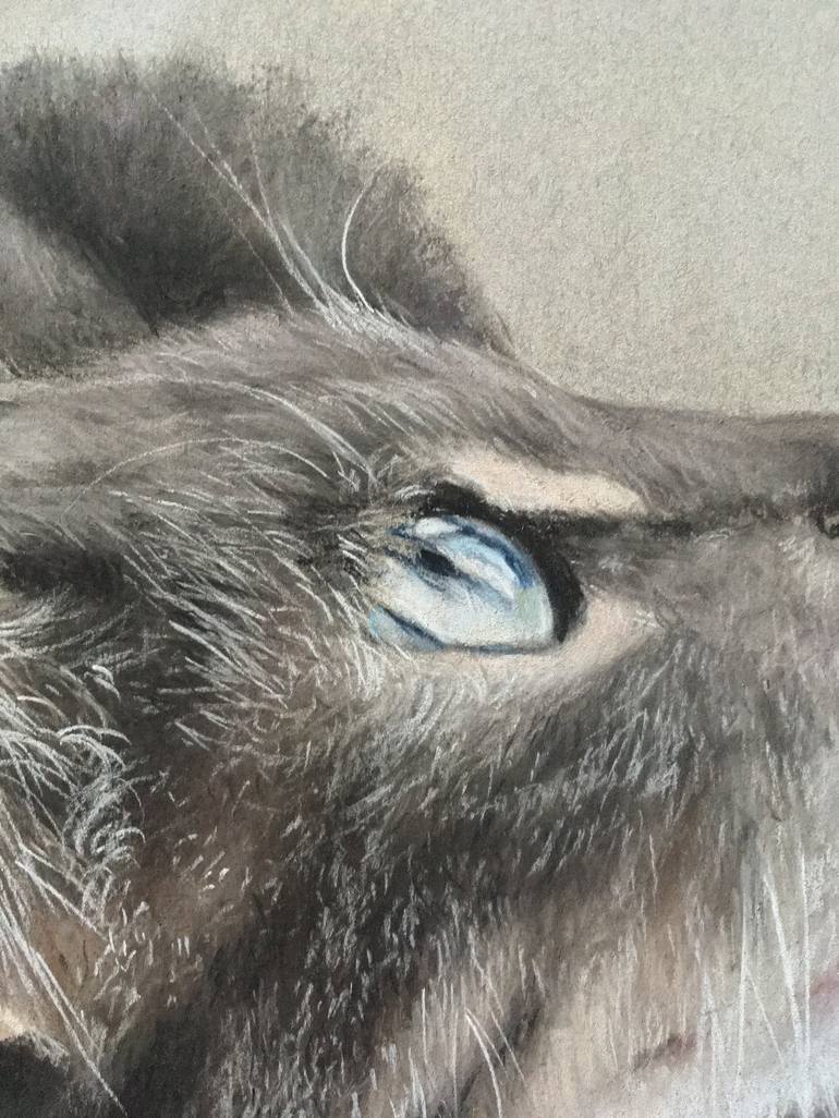 Original Realism Animal Drawing by Juan Pastor de la Puente