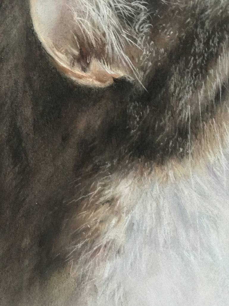 Original Realism Animal Drawing by Juan Pastor de la Puente