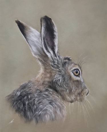 Original Realism Animal Drawings by Juan Pastor de la Puente