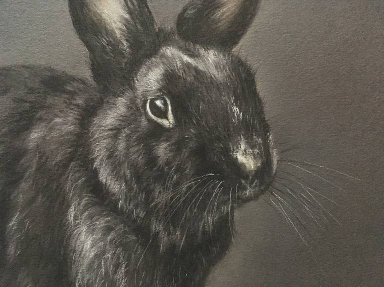 Original Realism Animal Drawing by Juan Pastor de la Puente