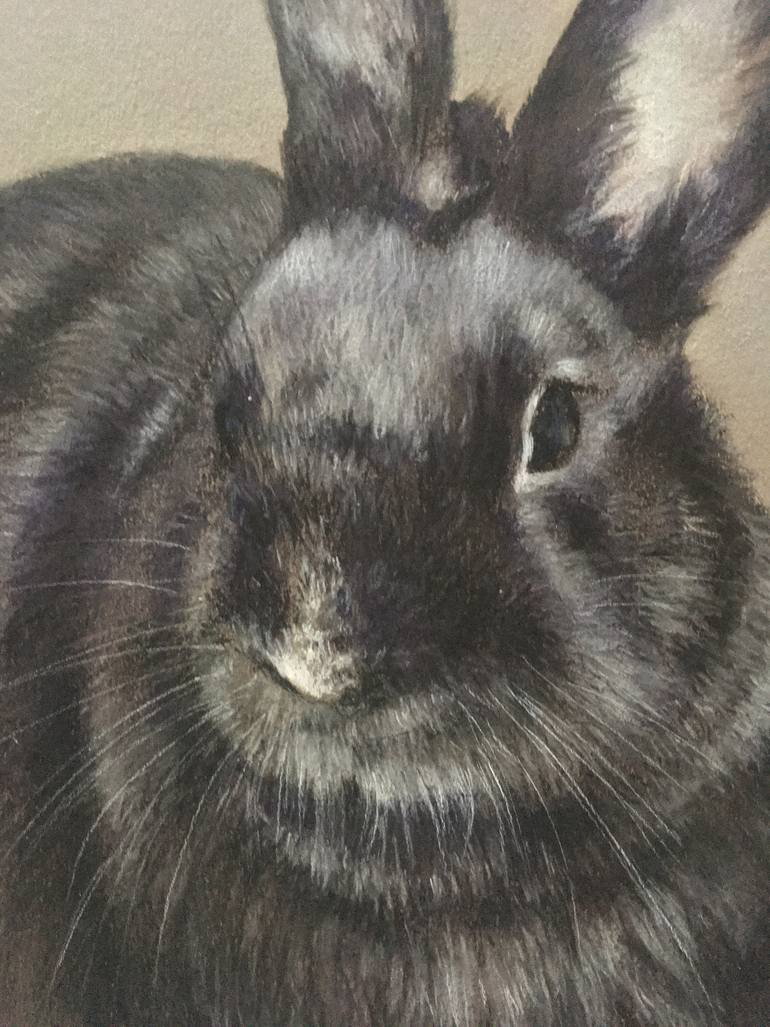 Original Realism Animal Drawing by Juan Pastor De La Puente