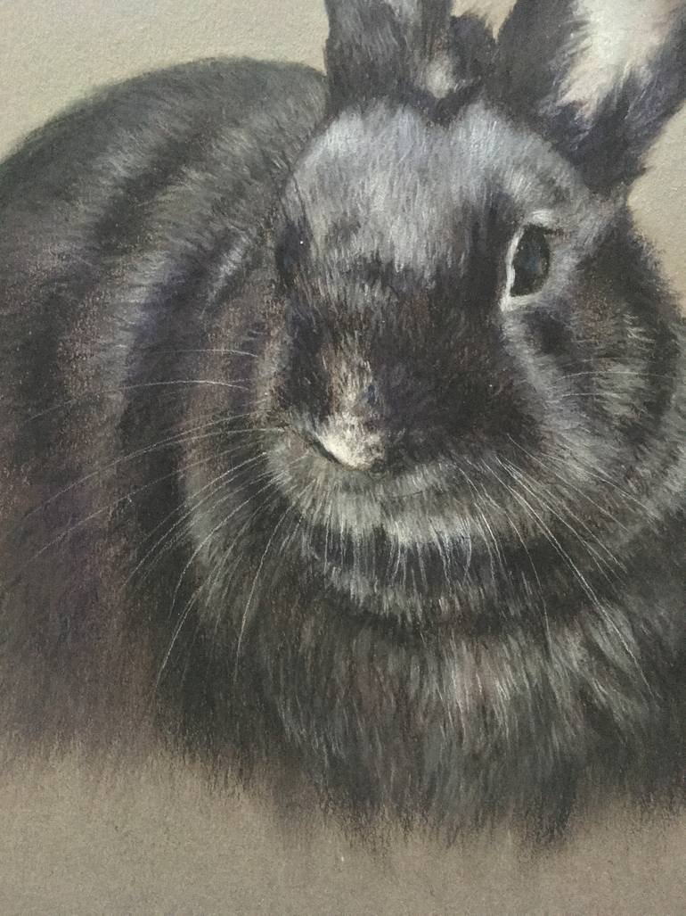 Original Realism Animal Drawing by Juan Pastor De La Puente