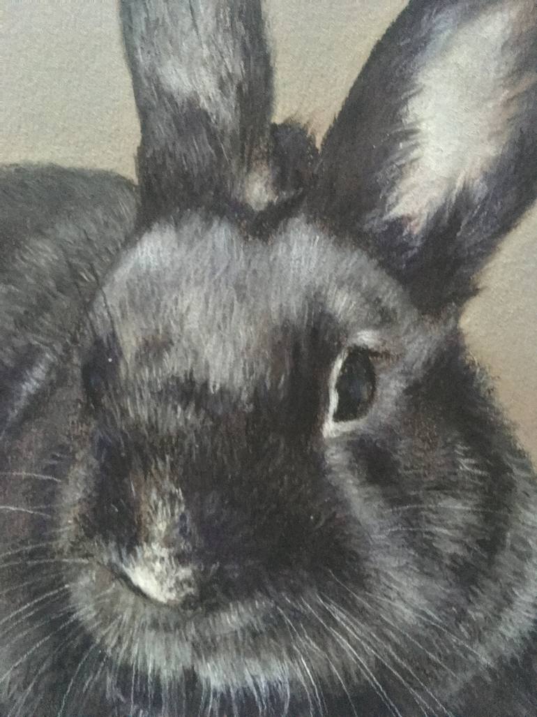 Original Realism Animal Drawing by Juan Pastor De La Puente