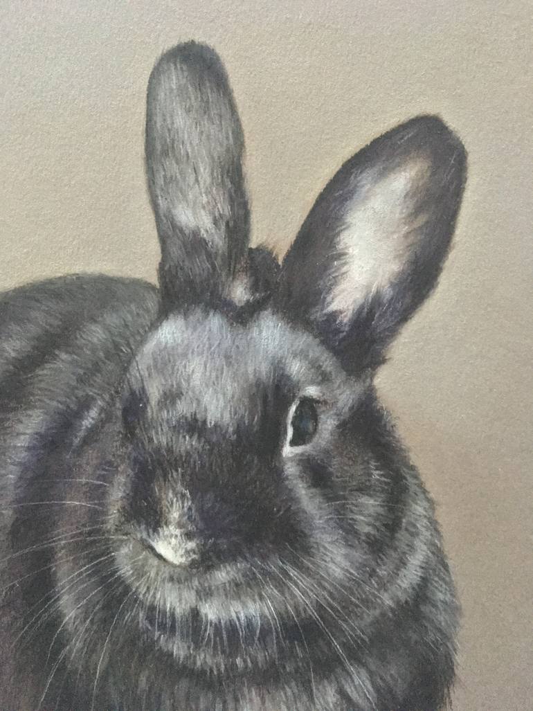 Original Realism Animal Drawing by Juan Pastor De La Puente