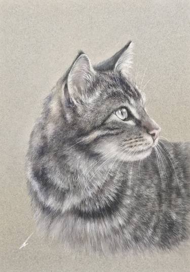 Print of Realism Animal Drawings by Juan Pastor de la Puente