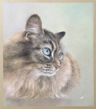 Original Realism Animal Drawings by Juan Pastor de la Puente