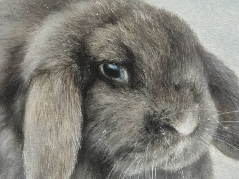 Original Realism Animal Drawing by Juan Pastor de la Puente