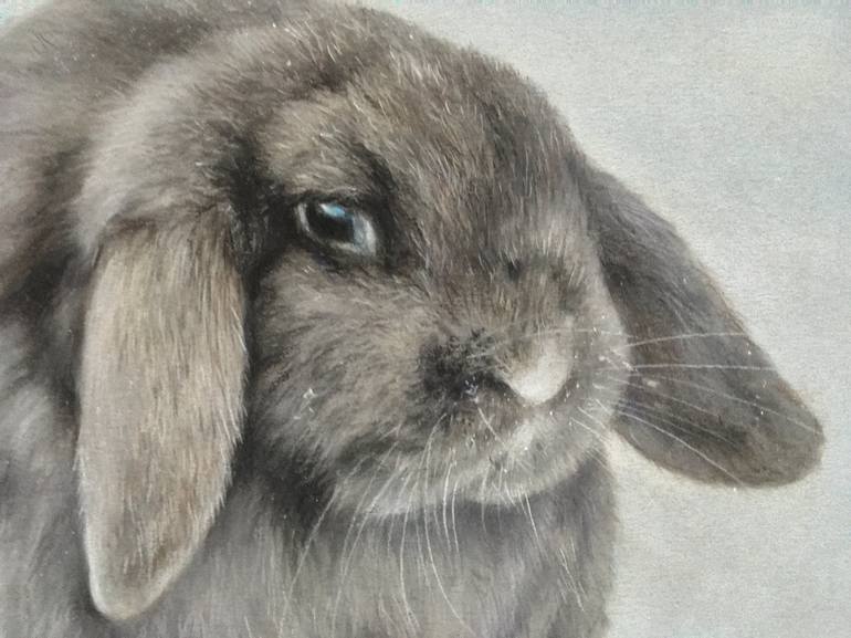 Original Realism Animal Drawing by Juan Pastor de la Puente